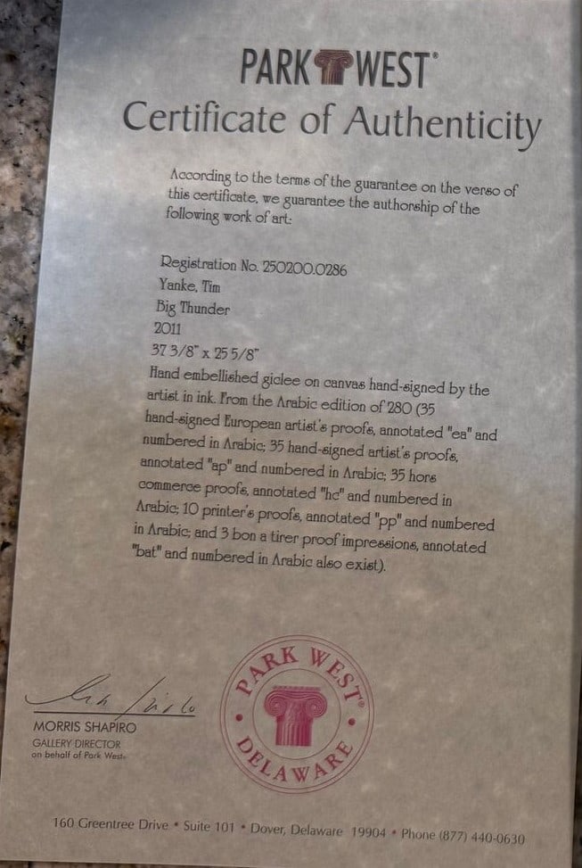 Tim Yanke "Big Thunder 2011" - 3