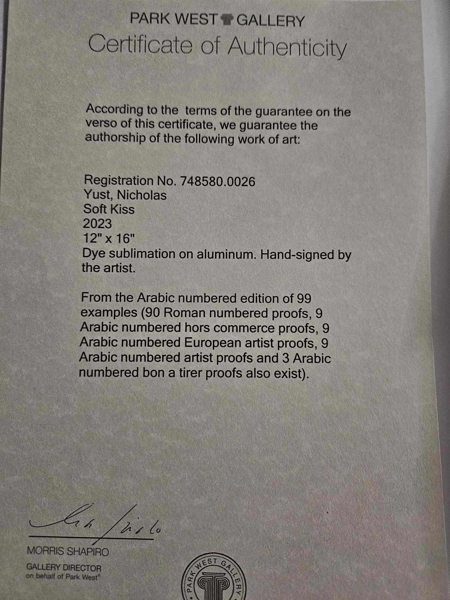 Nicholas Yust "Soft Kiss" - 2