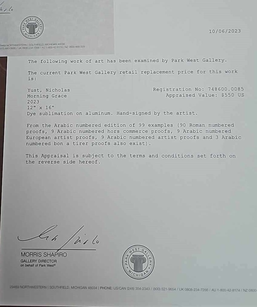 Nicholas Yust "Morning Grace" - 4