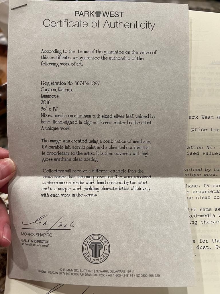 Patrick Guyton "Luminous" - 2