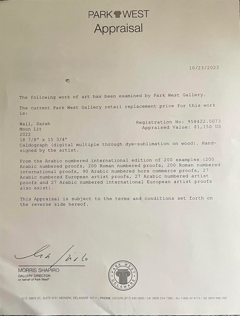 Sarah Wall Moon Lit - 3