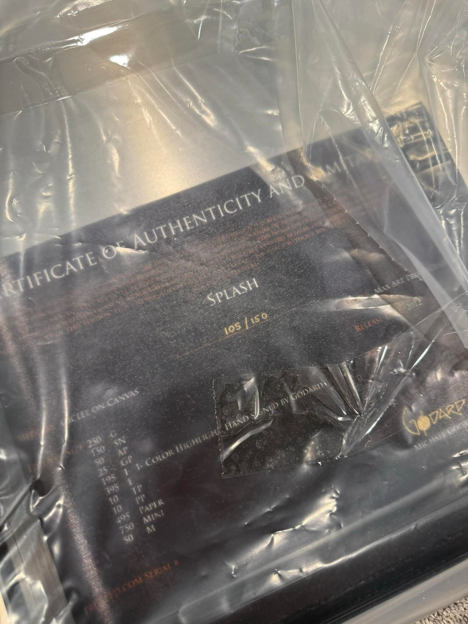 Michael Godard "Splash" - 4