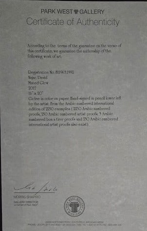 david Najar "Muted Glow" - 2