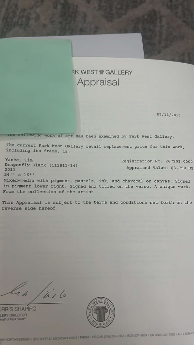 Tim Yanke "Dragonfly Black" - 2