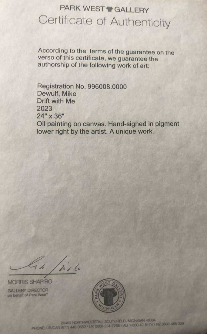 Mike Dewulf "Drift With Me" Unique - 2