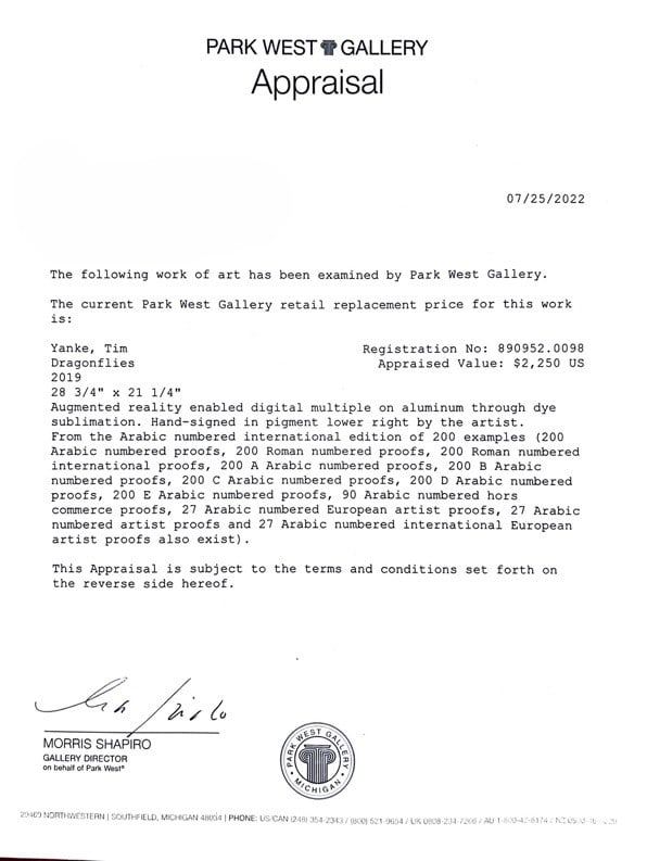 Tim Yanke "Dragonflies" - 3