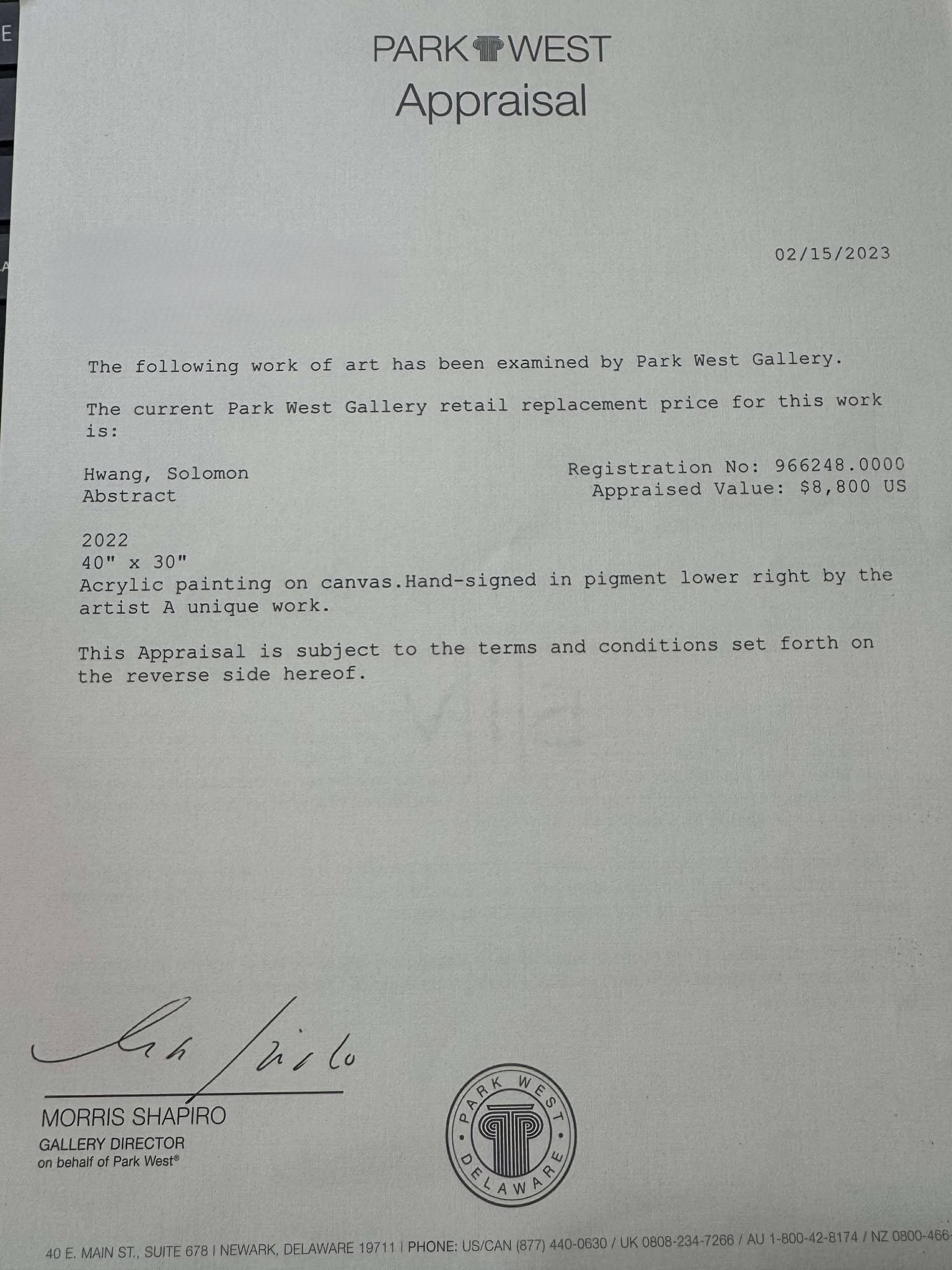 Solomon Hwang "Abstract" Unique - 3