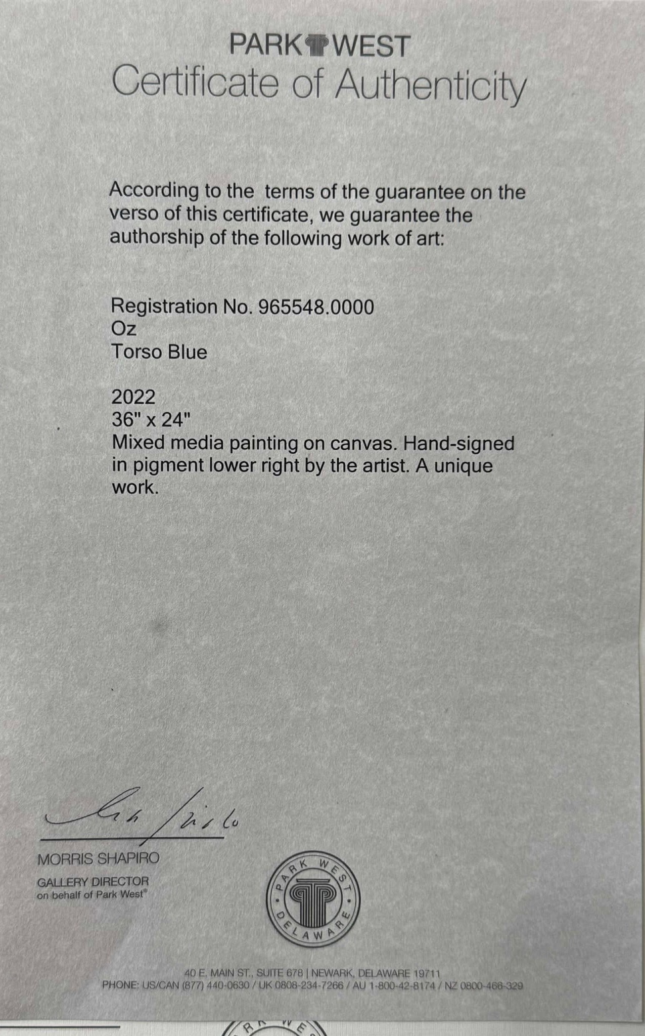 Oz "Torso Blue" Unique - 2