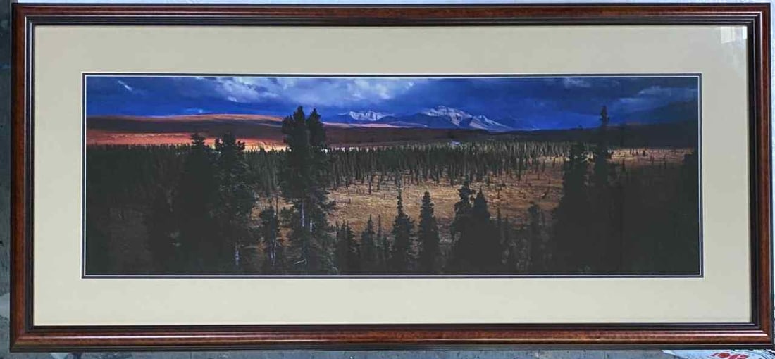 Thomas Mangelsen "Season Passing": Thomas D Mangelsen "Season Passing" 16" x 47"