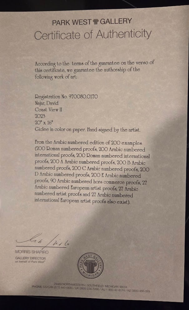 David Najar "Coast View II" - 4