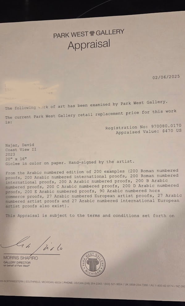 David Najar "Coast View II" - 5