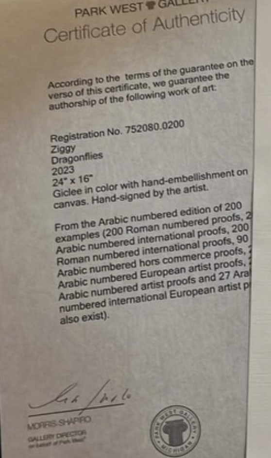 Ziggy "Dragonflies" - 2