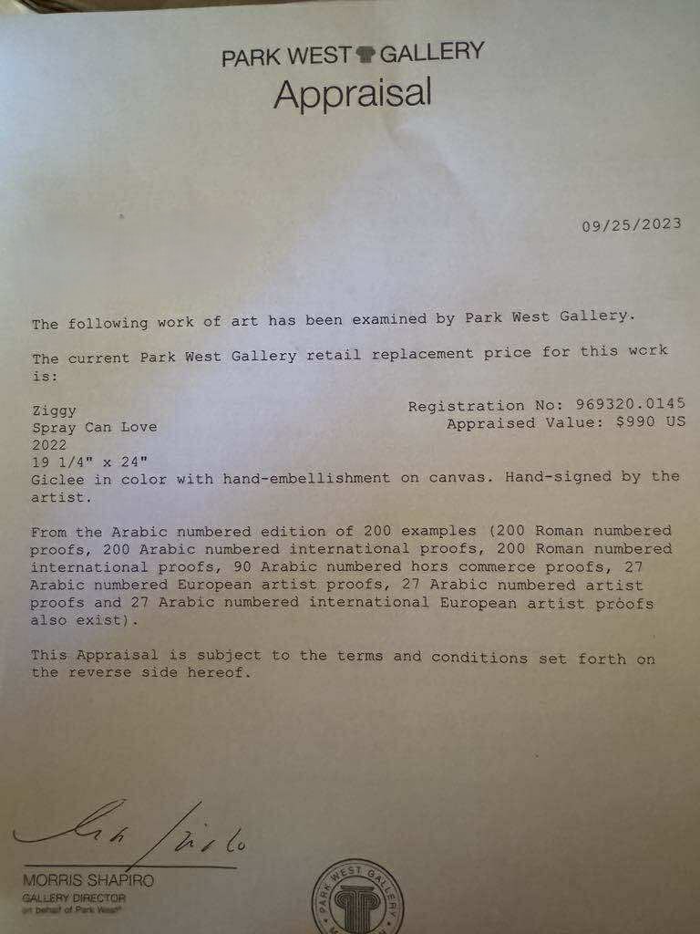 Ziggy "Spray Can Love" - 2