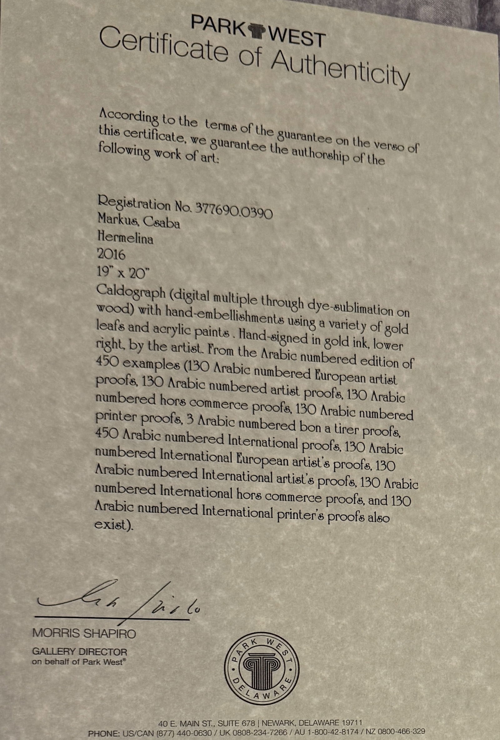 Csaba Markus Hermelina - 2