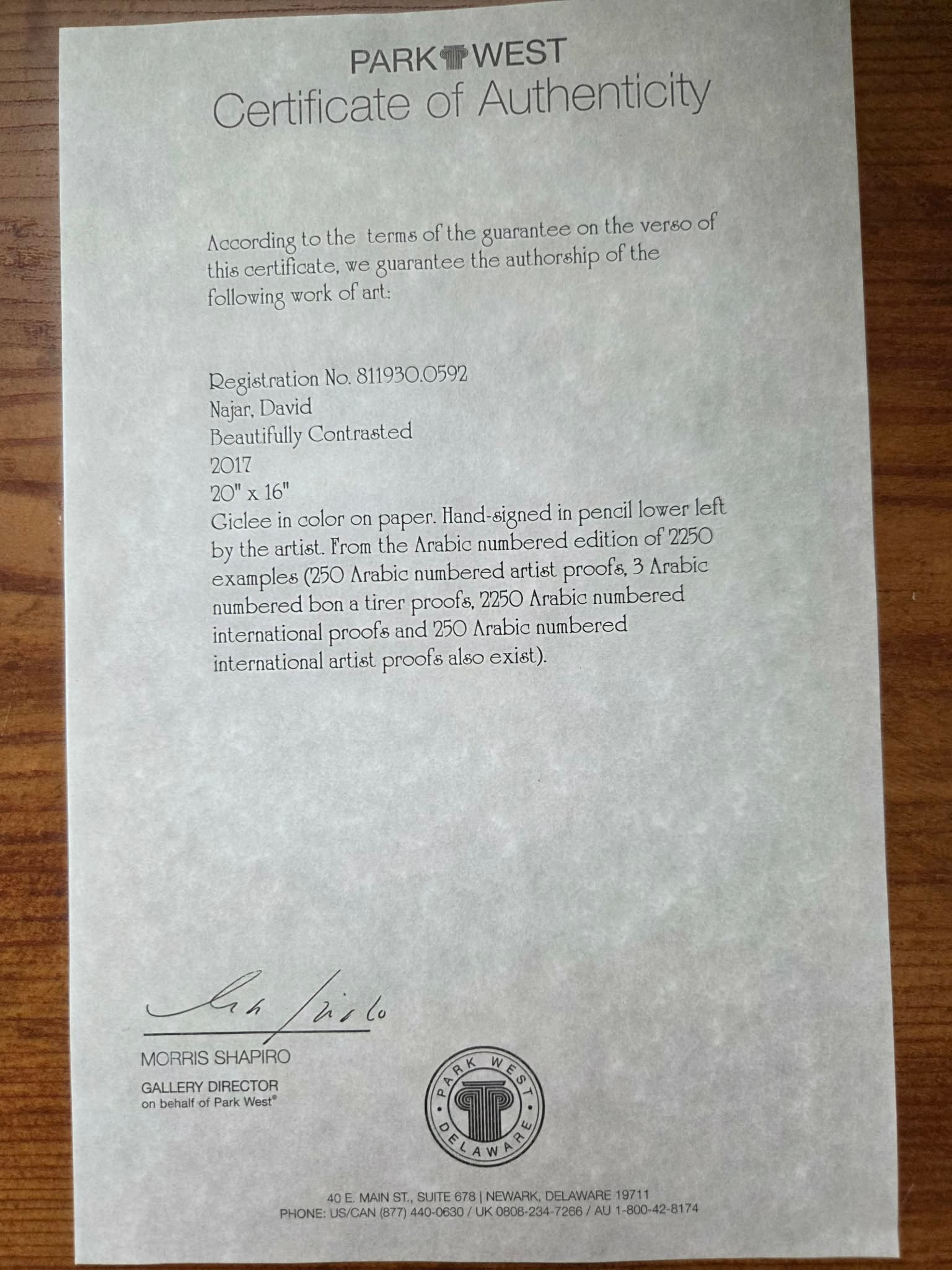 David Najar Beautifully Contrasted - 2