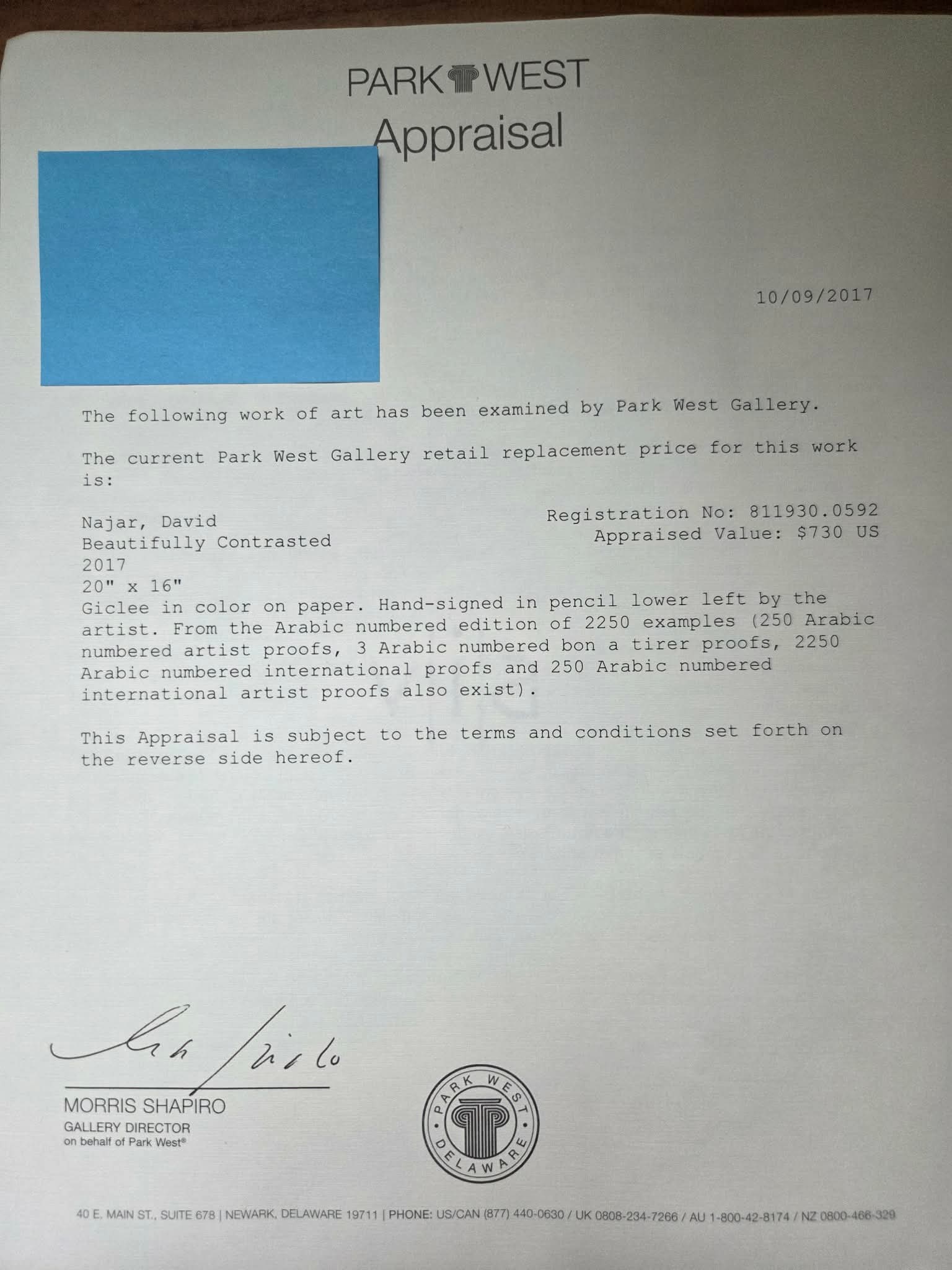 David Najar Beautifully Contrasted - 3