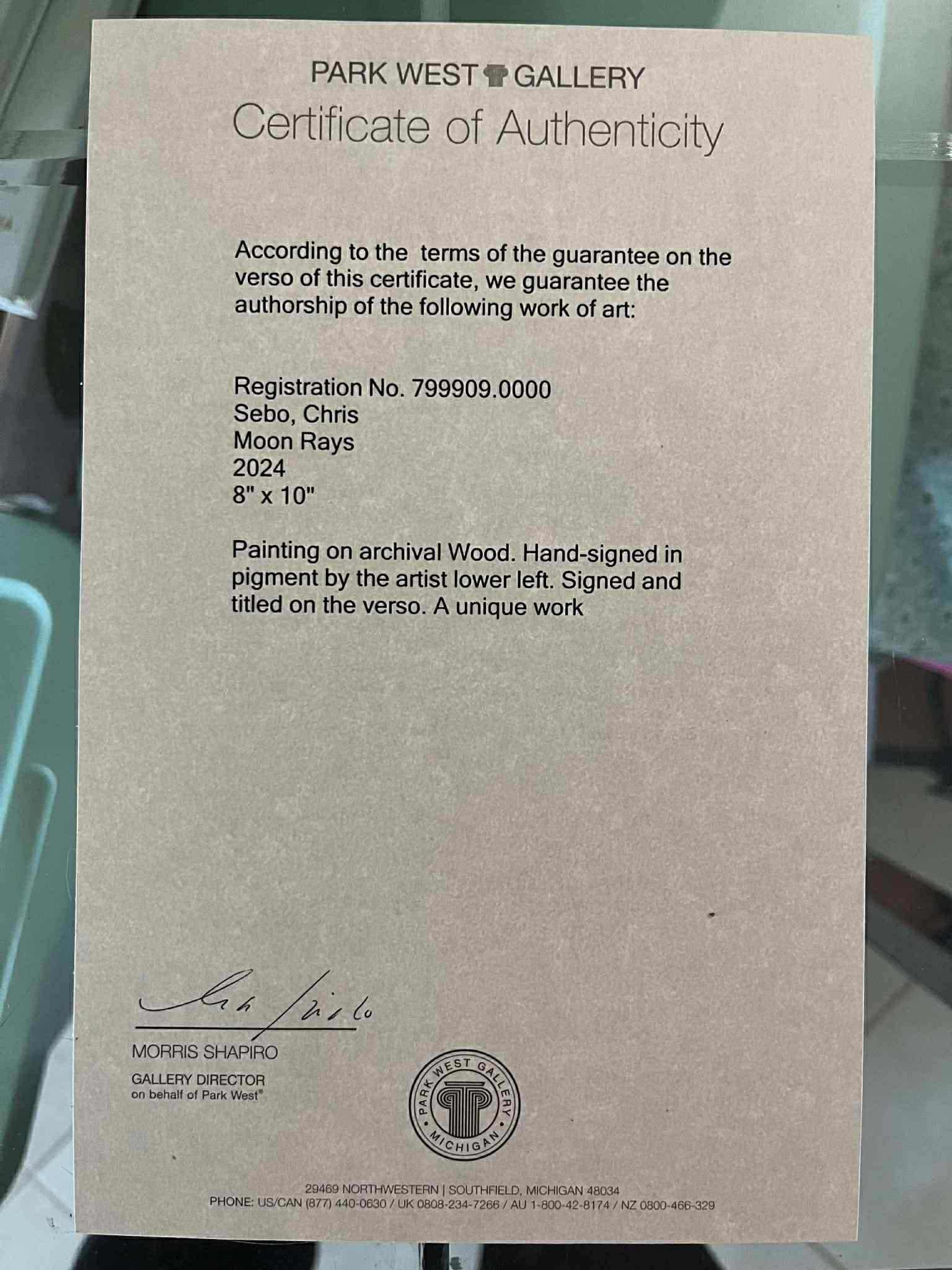 Chris Sebo Moon Rays - 2