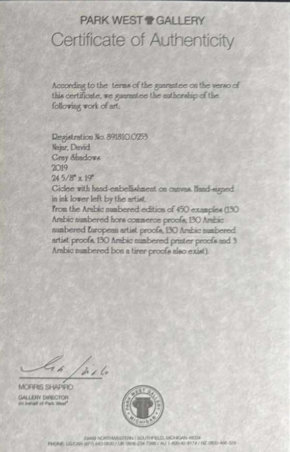 David Najar Gray Shadows - 2