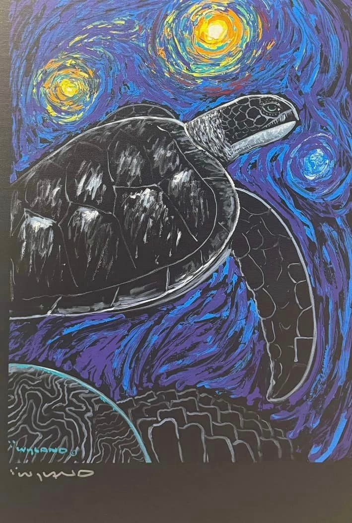 Starry Sea Turtle - 2
