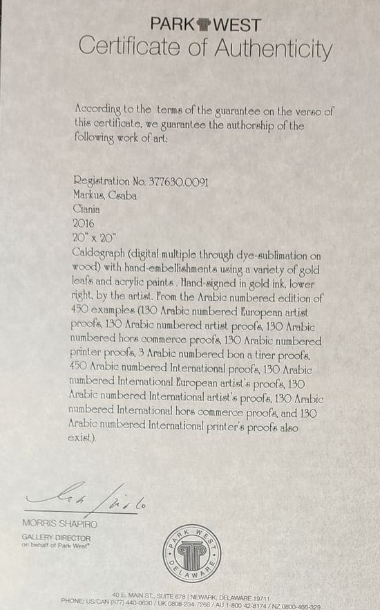 Csaba Markus Ciania - 3