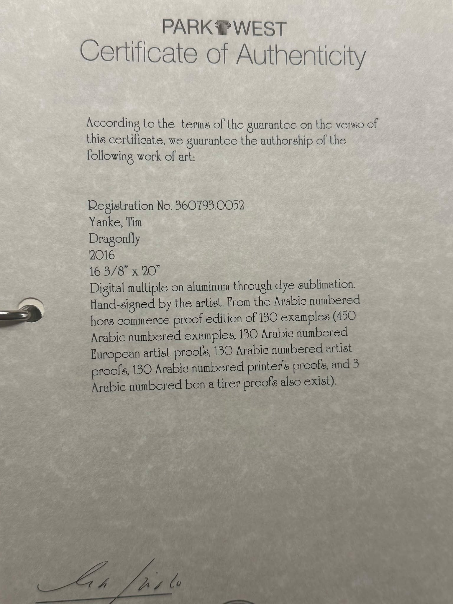 Tim Yanke Dragonfly - 3