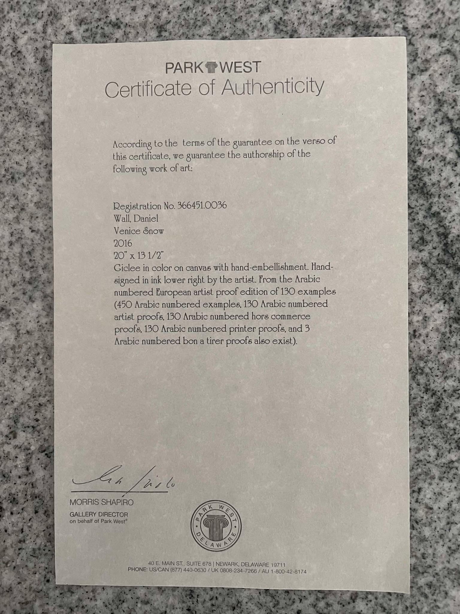 Daniel Wall Venice Snow - 3