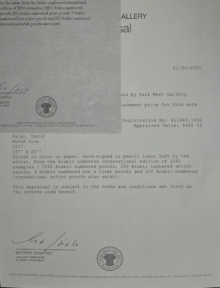 david Najar Muted Glow - 3