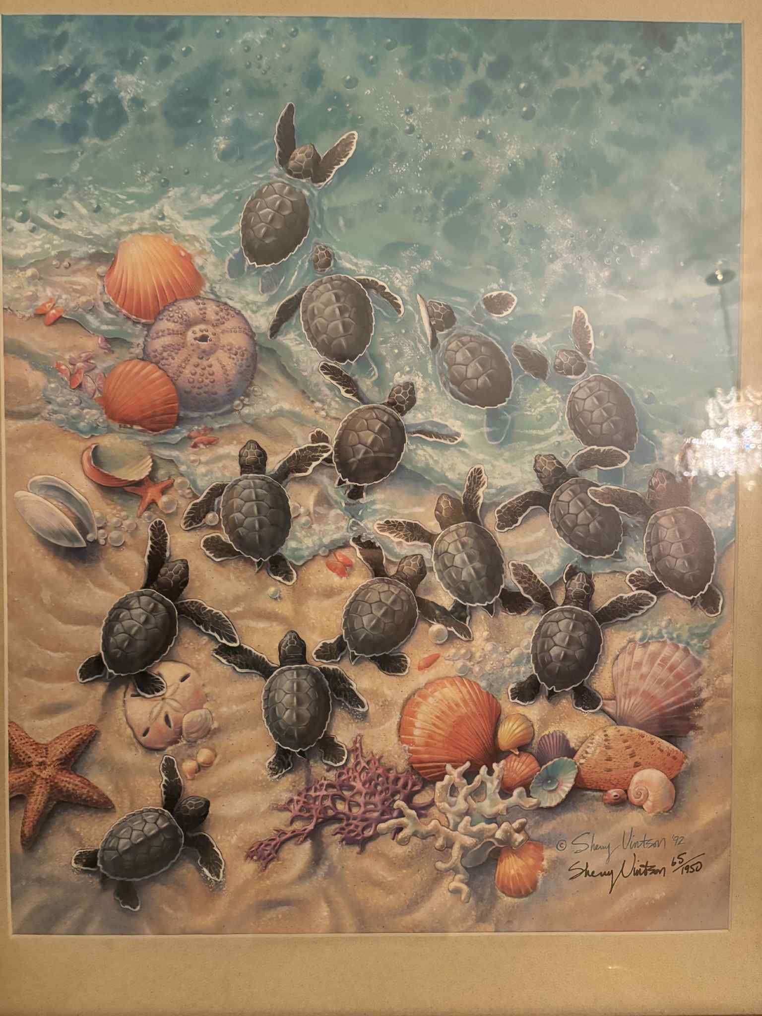 sherry winston turtles - 3