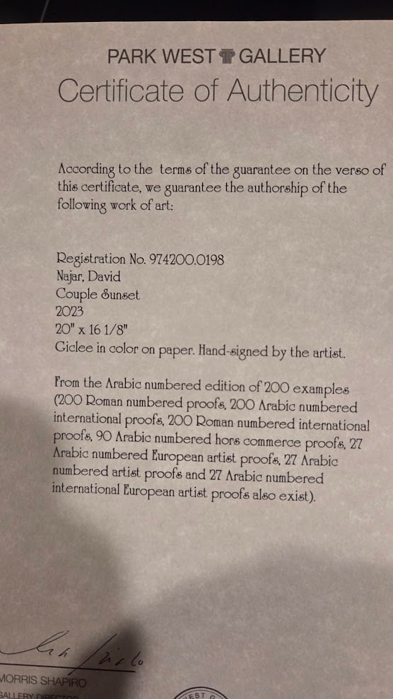 David Najar Couple Sunset - 4