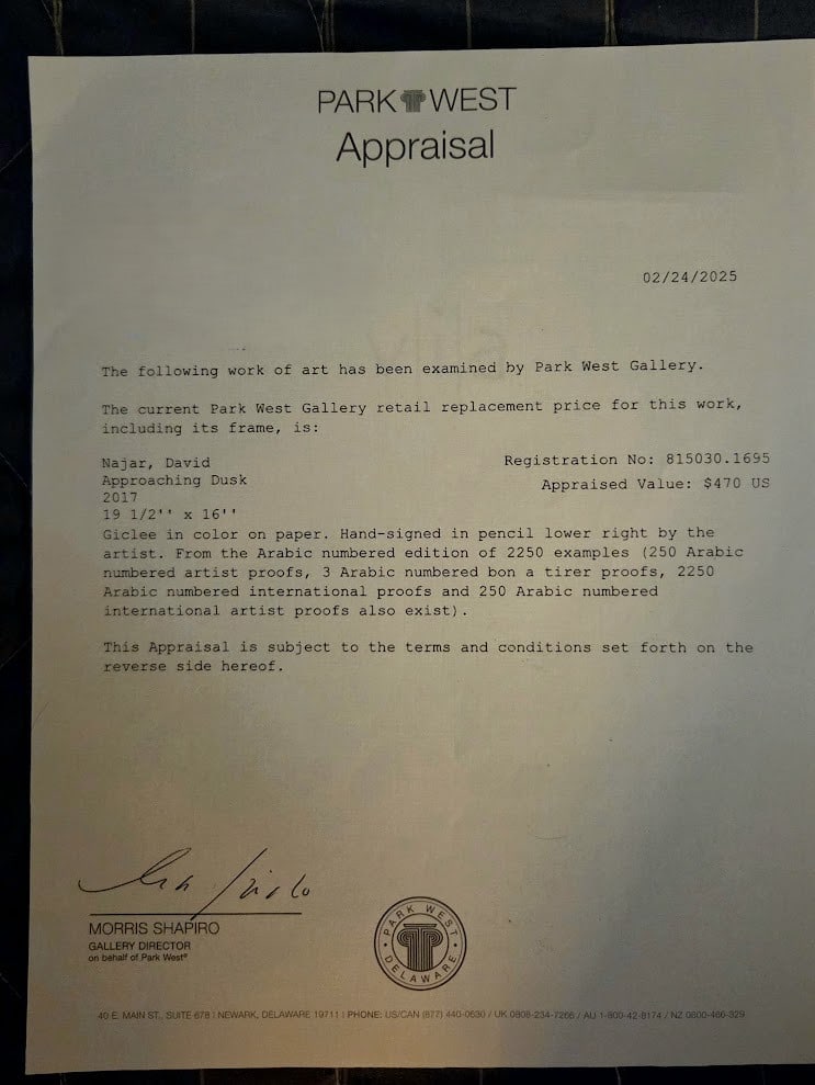 David Najar Approaching Dusk - 5