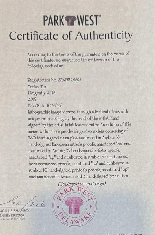 Tim Yanke Dragonfly 2012 - 2