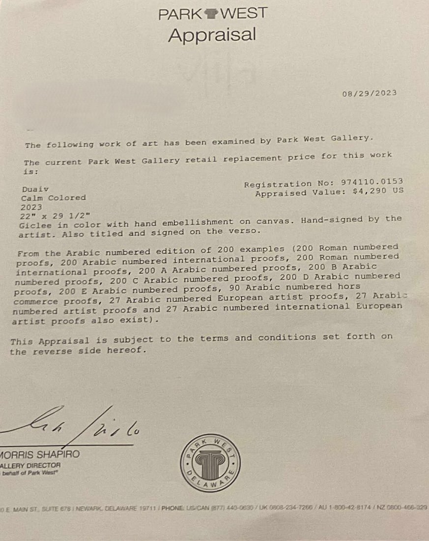 Duaiv Calm Colored - 3