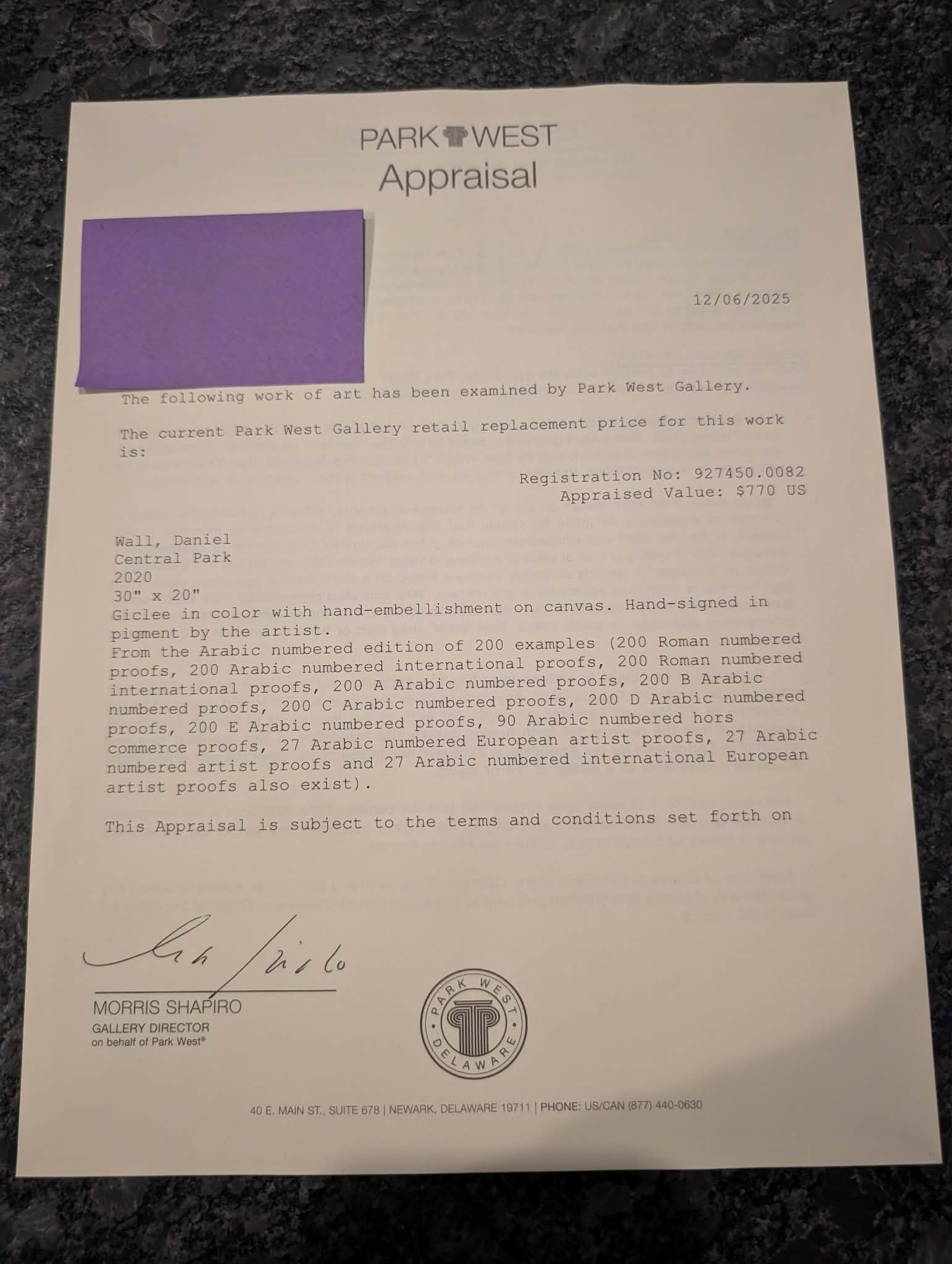 Daniel Wall Central Park - 2