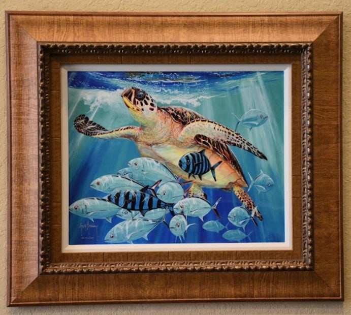 Guy Harvey Hawksbill Caravan (1 of 3)
