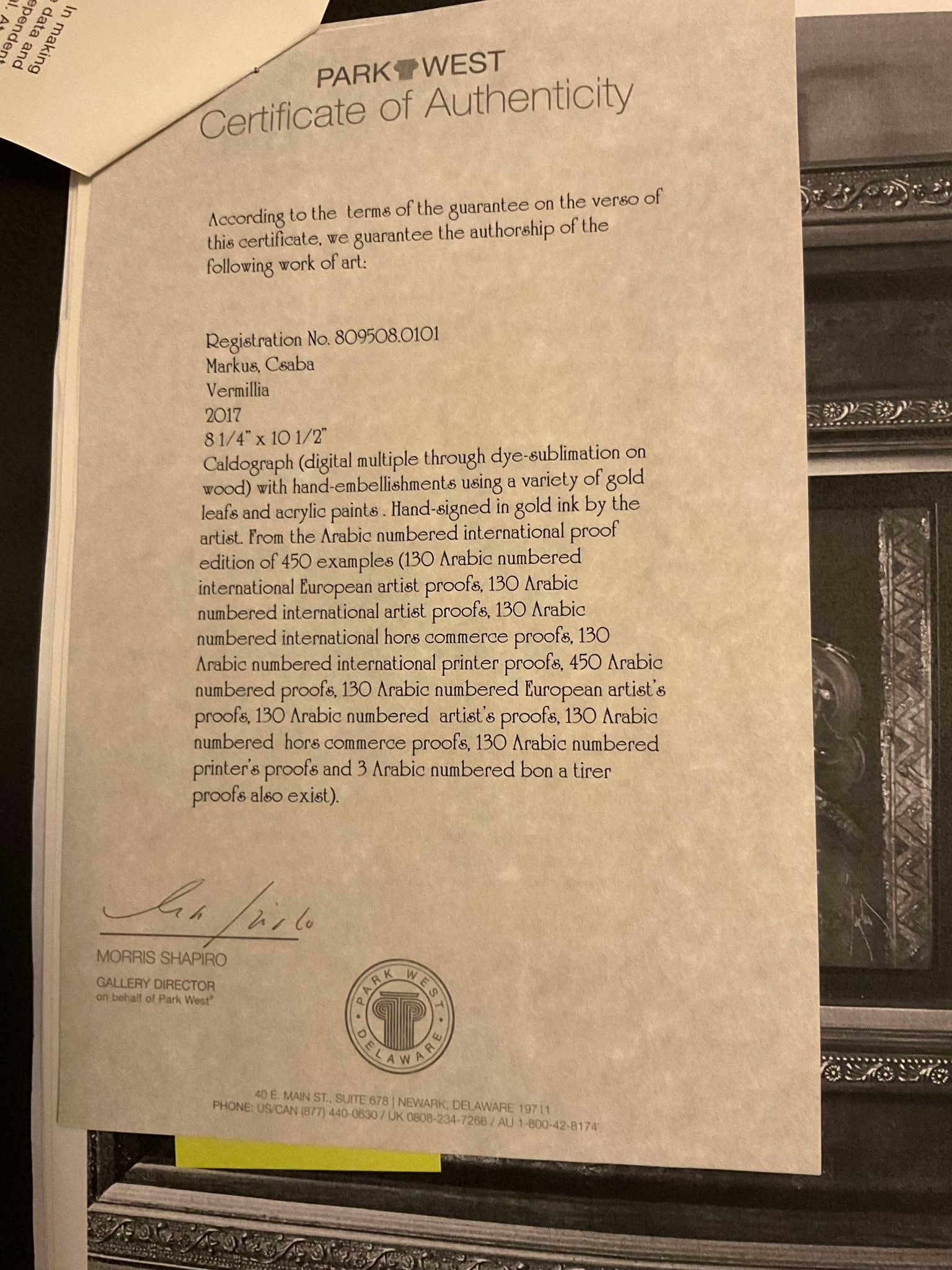 Csaba Markus "Vermillia" - 2