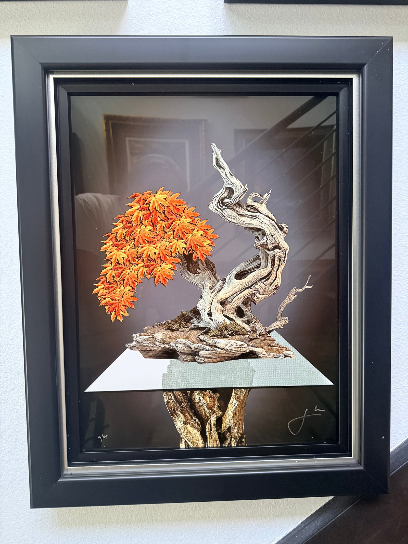 Jay Bonadio Lions Den Maple - Bonsai: Jay Bonadio "Lions Den Maple - Bonsai" 2025 20" x 15" image size Dye sublimation on aluminum with embellishment. Hand-signed by the artist. Gallery framed, COA, Appraisal. JK