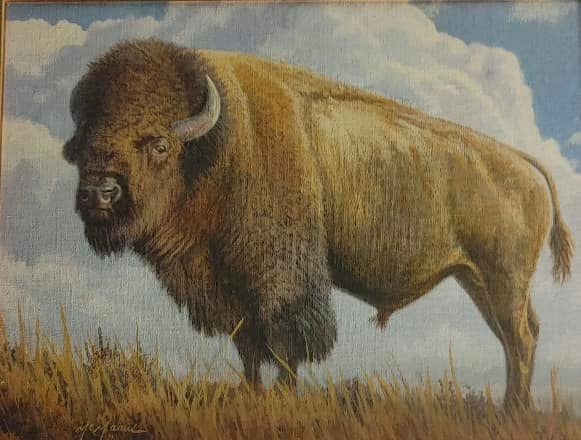Pat McManus Big Sky Bison Unique - 2
