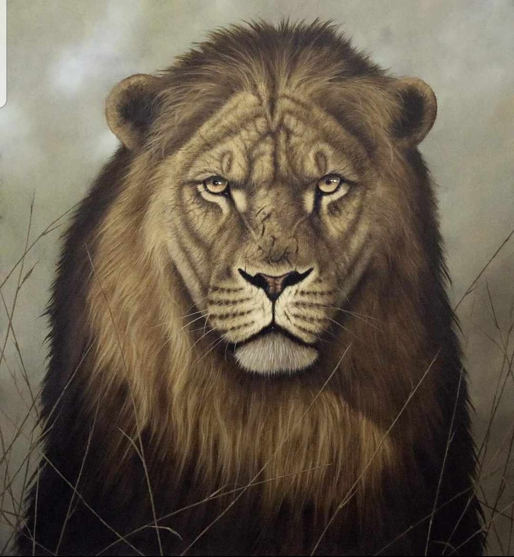 The Martinet (Lion) (1 of 3)