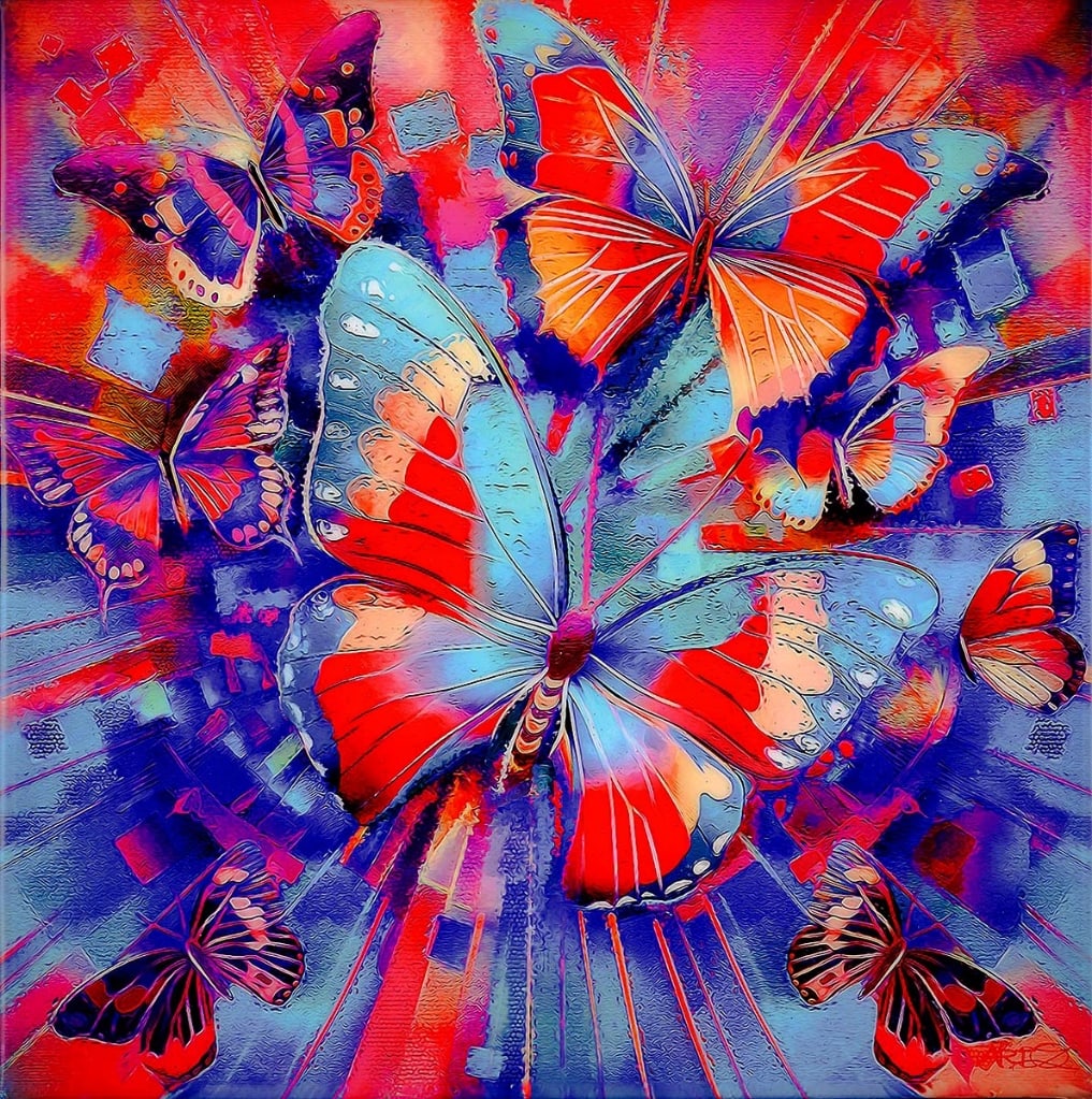 OZ Butterfly Dream - 2
