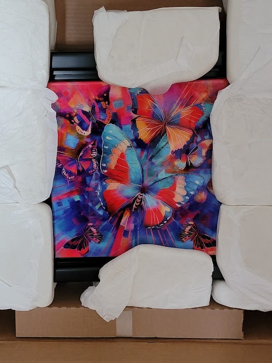 OZ Butterfly Dream - 3