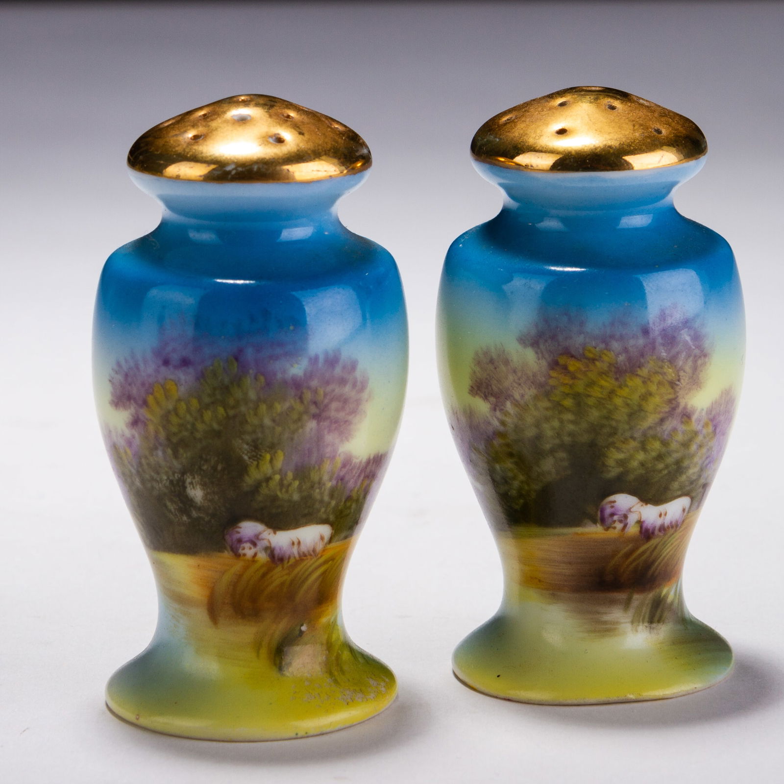 Pair of Noritake Japanese Salt & Pepper Porcelain Shakers (1 of 11)