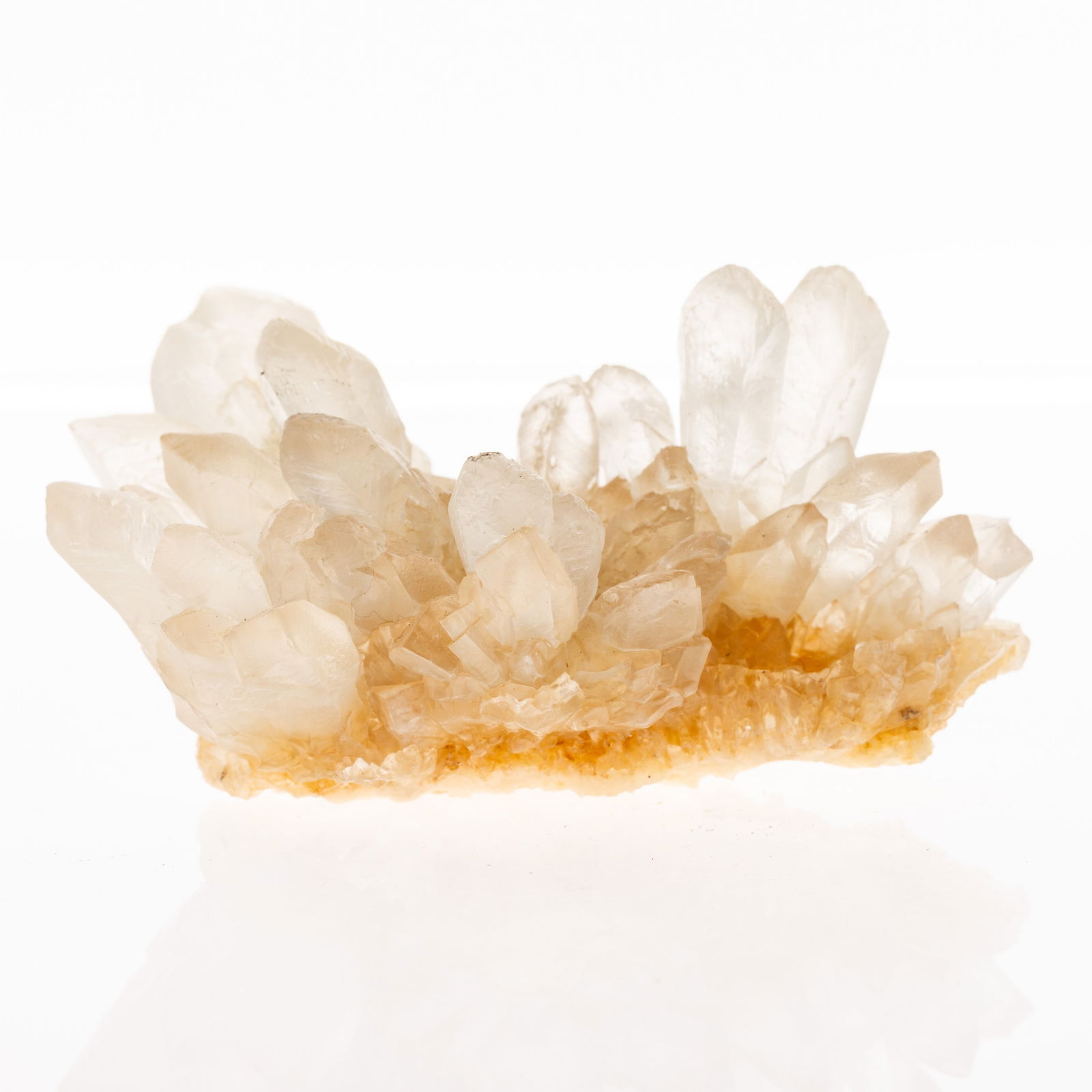 Natural Geology History - Geode Mineral Crystal Specimen (1 of 6)