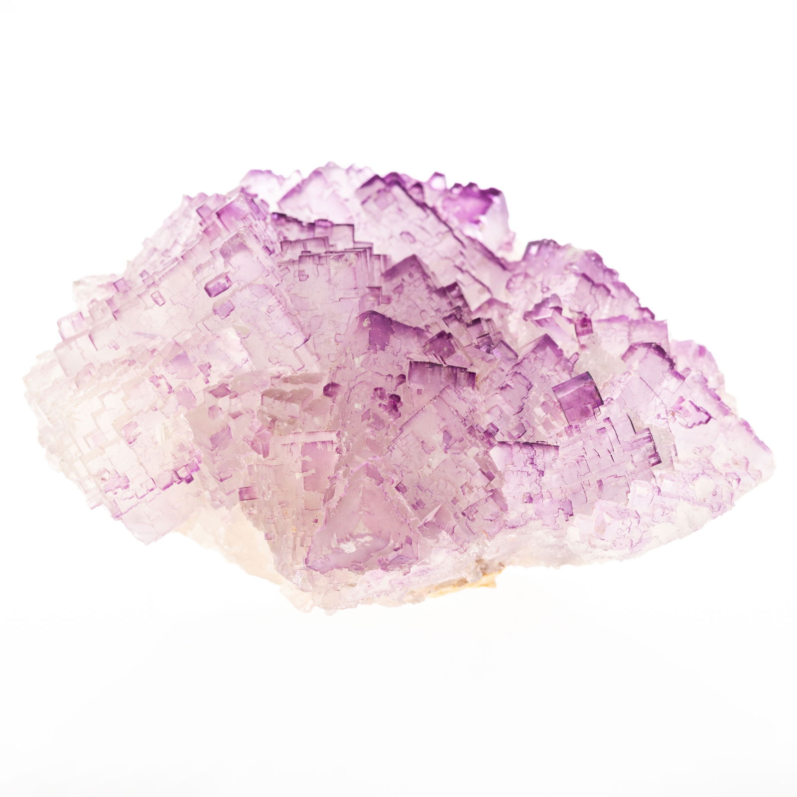 Natural Geology History - Geode Mineral Crystal Specimen (1 of 7)