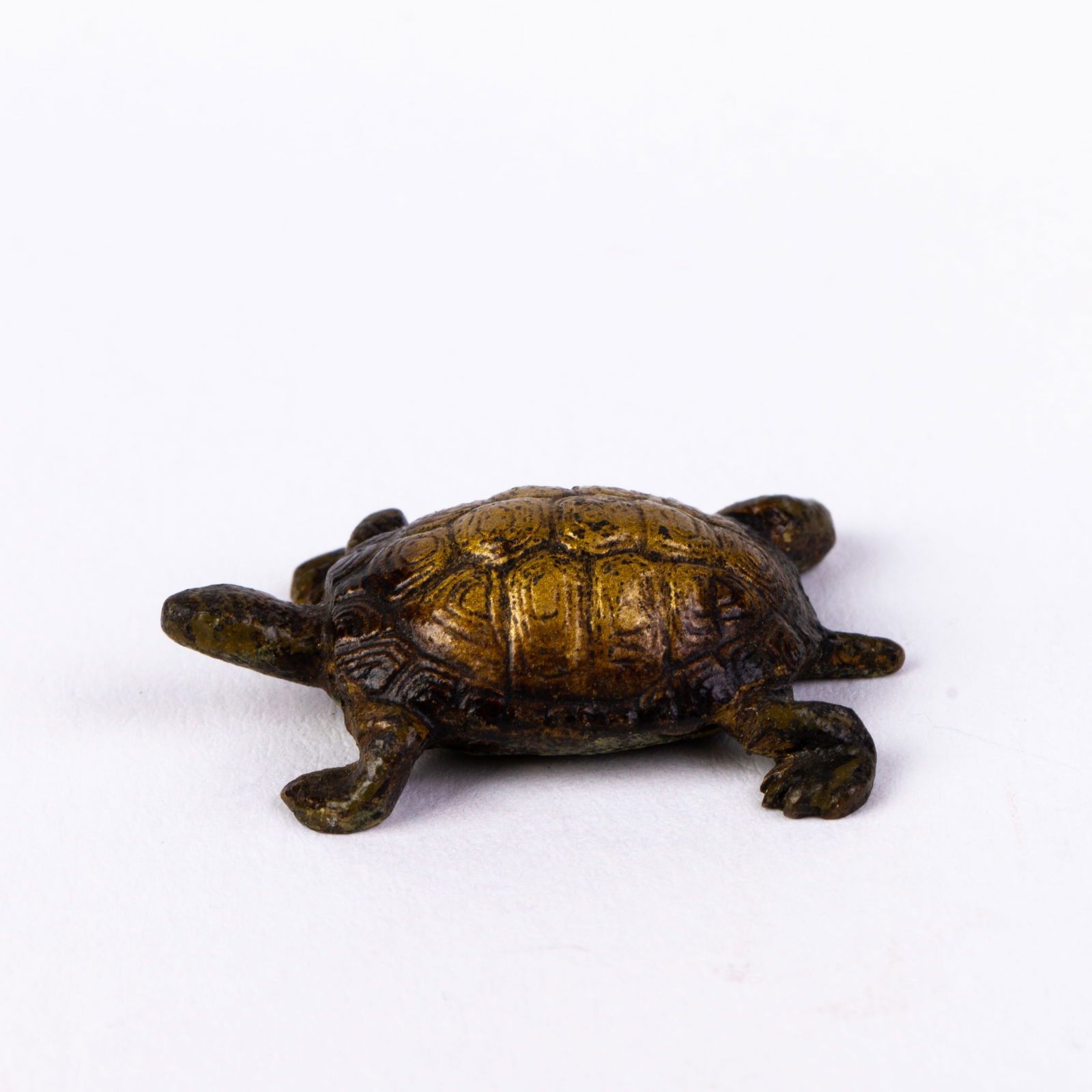 Bergman Style Austrian Cold Painted Bronze Sculpture Turtle (1 of 6)
