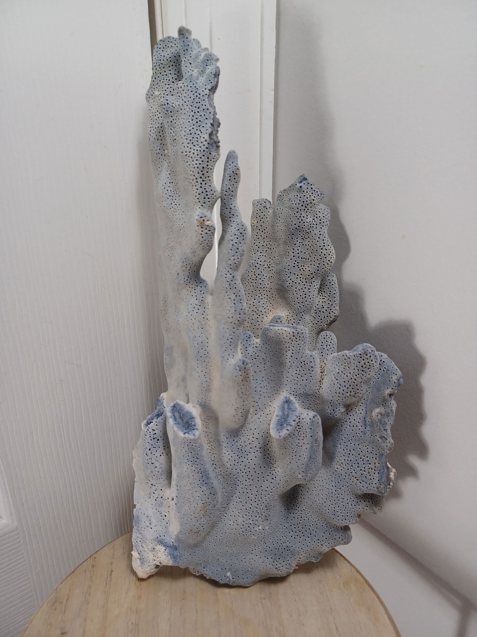 Large Coral Piece (1 of 5)