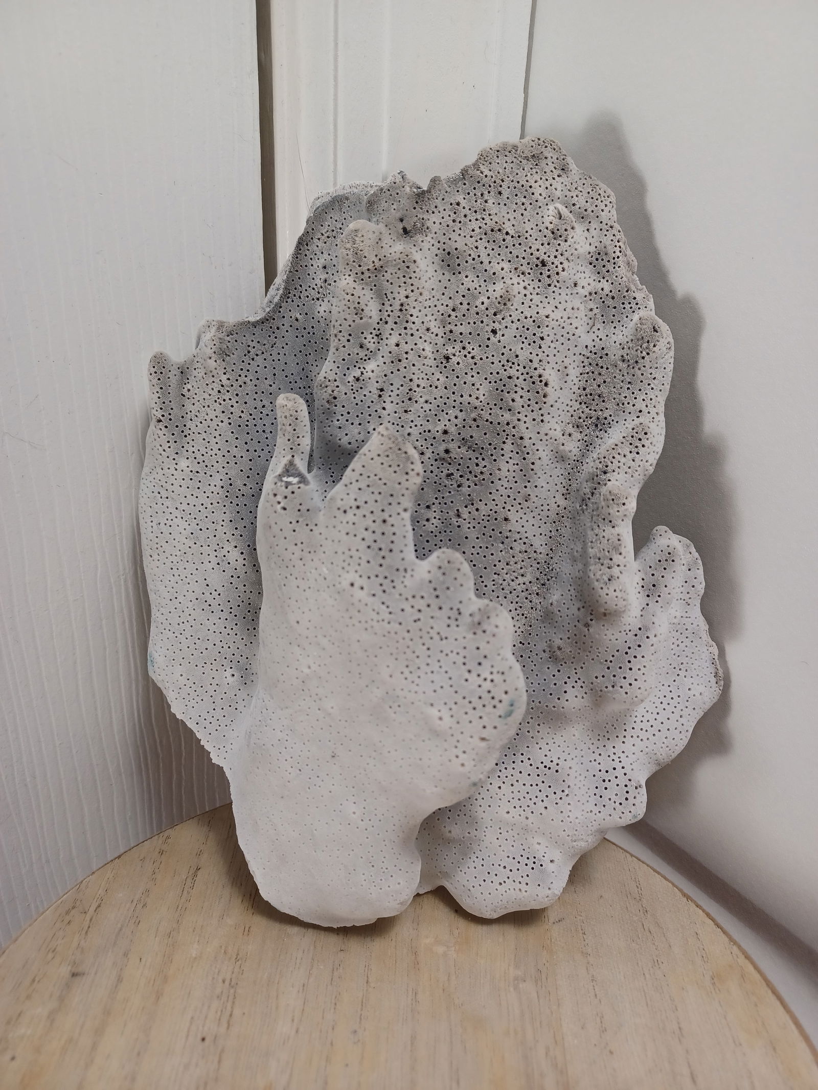Large Coral Piece (1 of 6)