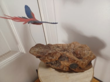 John Perry Statue Parrot