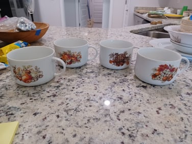 Set of 4 Porcelain Soup Mugs or Coffee Mugs