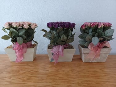 Floral Lot