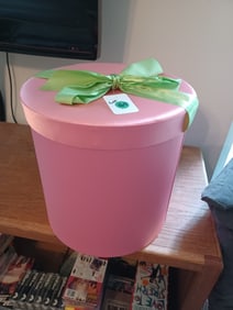 Vintage Pink Satin Hat Box